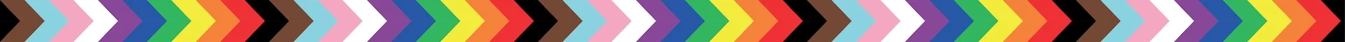 Progress Pride Flag Chevron Pattern Banner